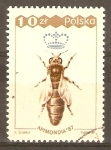 Stamps Poland -  ABEJA  REINA