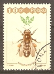 Stamps Poland -  ABEJA  OBRERA
