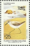 Stamps Chile -  PLAYERO BLANCO - FLORA Y FAUNA DE CHILE