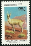 Stamps Chile -  TARUCA HUEMUL DEL NORTE - FLORA Y FAUNA DE CHILE