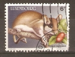 Stamps Luxembourg -  ELIOMYS  QUERCINUS