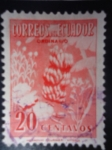 Stamps Ecuador -  Racimo de plátano o Banano.