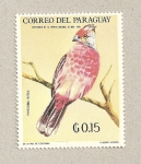 Stamps Paraguay -  Ave Phytoma rutila