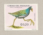 Stamps Paraguay -  Porphyrula martinica