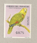Stamps Paraguay -  Amazón cabeza amarilla
