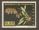 Stamps : America : Venezuela :  EPIDENDRUM  STAMFORDIANUM  BATEM