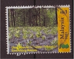 Stamps Asia - Malaysia -  Centenario de la forestación