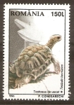 Stamps Romania -  TESTUDO  HERMANNI