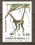 Stamps Honduras -  MONO  ATELES  JÒVEN  COLGADO  DE  RAMA    
