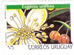 Stamps Uruguay -  Eugenia Uniflora