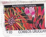 Stamps : America : Uruguay :  Aechmea recurvata