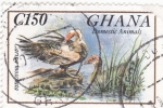 Stamps Ghana -  Animales Domésticos