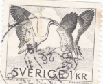 Sellos de Europa - Suecia -  AVES