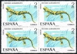 Stamps Spain -  TRITURUS MARMORATUS