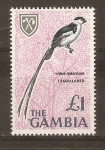 Stamps : Africa : Gambia :  VIDUA  MACROURA