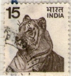 Sellos de Asia - India -  7 Tigre