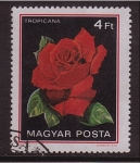 Stamps Hungary -  serie- Rosas