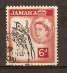 Stamps : America : Jamaica :  PÀJARO  DOCTOR