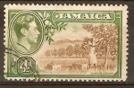 Stamps America - Jamaica -  PLANTACIÒN  DE  CÌTRICOS