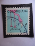 Stamps Colombia -  Flamenco -F-