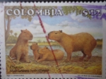 Stamps Colombia -  CHiguiro (Hydrochaeris hydrochaeris)