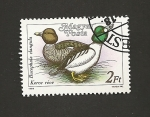 Stamps Hungary -  Pato, Bucephala clangula