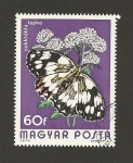 Stamps Hungary -  Mariposa Menalargia galatea