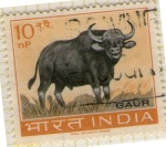 Sellos de Asia - India -  103 Gaur