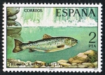Stamps Spain -  TRUCHA, SALMO TRUTTA