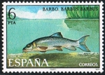 Stamps : Europe : Spain :  BARBO, BARBUS BARBUS