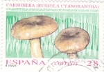 Stamps : Europe : Spain :  MICOLOGÍA- Carbonera      (Q)