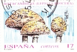 Stamps Spain -  MICOLOGÍA-Matacandelas   (Q)