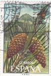 Stamps Spain -  FLORA- Pino Negral     (Q)