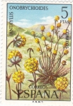 Stamps Spain -  FLORA- Anthyllis Onobrychioides   (Q)