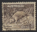Stamps : Oceania : Australia :  Ornitorrinco