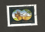 Stamps Hungary -  Berrea del ciervo