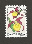Stamps Hungary -  Orquidea Cyprepedium calceolus