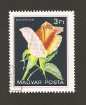 Stamps Hungary -  Rosa var. Invitation