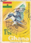 Stamps Ghana -  AVE- MARTÍN PESCADOR Y BANDERA