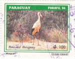 Stamps : America : Paraguay :  AVES DEL PARAGUAY- CICONIA MAGUARI