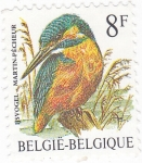 Stamps Belgium -  AVE- MARTÍN PESCADOR 