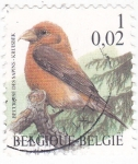 Stamps Belgium -  AVE- RUISEÑOR