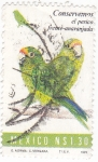 Stamps Mexico -  AVES-PERICO FRENTE ANARANJADA