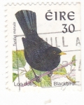 Stamps : Europe : Ireland :  AVE- TURDUS MERULA