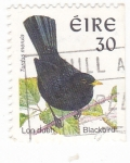 Sellos de Europa - Irlanda -  AVE- TURDUS MERULA