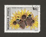 Stamps Hungary -  Mariposa roja en Margarita