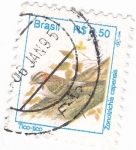Stamps Brazil -  AVE- TICO-TICO