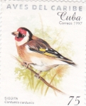 Stamps Cuba -  AVES DEL CARIBE- CARDUELIS-CARDUELIS