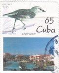 Stamps Cuba -  AVE- SINSONTE y Cayo Coco