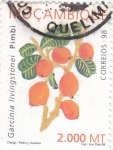 Stamps : Africa : Mozambique :  GARCINIA LIVINGSTONEI-Pimbi